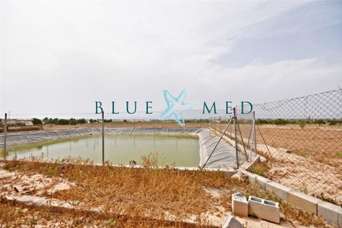 Villa i Pareton, Murcia, Pareton - € 279.000 | Ref: PARETON309/10254 - foto 13
