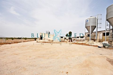 Villa i Pareton, Murcia, Pareton - € 279.000 | Ref: PARETON309/10254 - foto 14