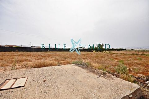 Villa i Pareton, Murcia, Pareton - € 279.000 | Ref: PARETON309/10254 - foto 15