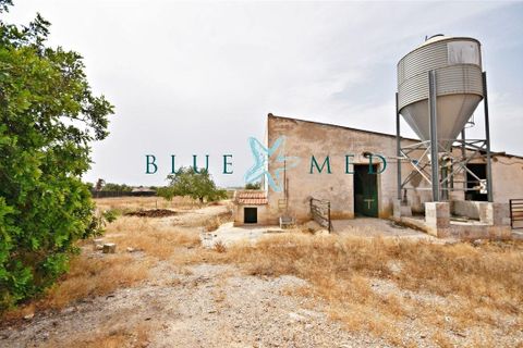 Villa i Pareton, Murcia, Pareton - € 279.000 | Ref: PARETON309/10254 - foto 16