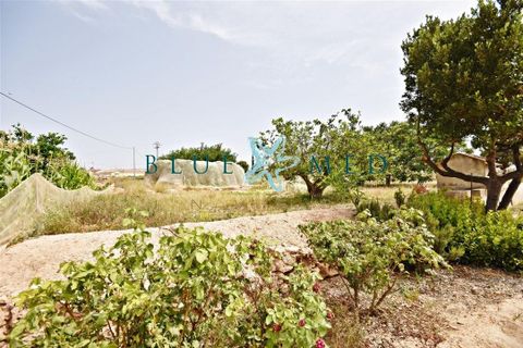 Villa i Pareton, Murcia, Pareton - € 279.000 | Ref: PARETON309/10254 - foto 18