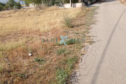Terra a Mutxamel, Alicante, Mutxamel - € 124.900 | Ref: ALHAMA322/10254 - foto 5
