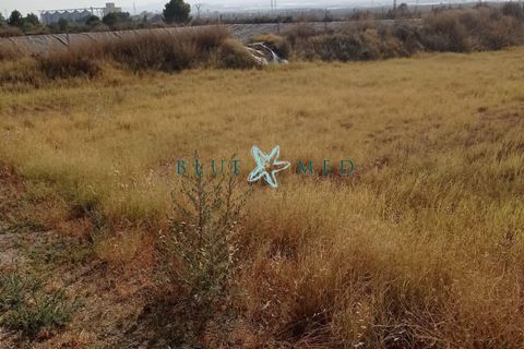 Terra a Mutxamel, Alicante, Mutxamel - € 124.900 | Ref: ALHAMA322/10254 - foto 7
