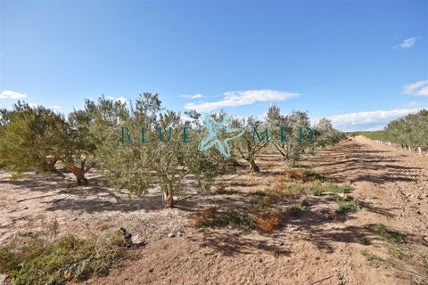 Landejendom i Las Canadas, Murcia, Las Canadas - € 239.900 | Ref: CASASALJIBE2/10254 - foto 22