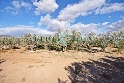 Landejendom i Las Canadas, Murcia, Las Canadas - € 239.900 | Ref: CASASALJIBE2/10254 - foto 23