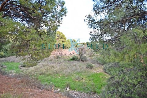 Helårsgrund i La Charca, Murcia, La Charca - € 180.000 | Ref: LACHARCA2/10254 - foto 2