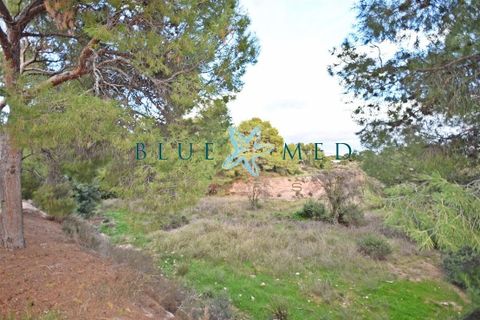 Helårsgrund i La Charca, Murcia, La Charca - € 180.000 | Ref: LACHARCA2/10254 - foto 3