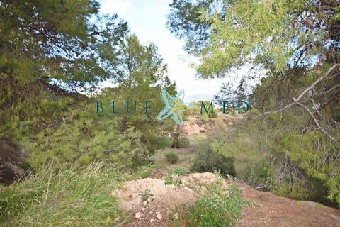 Helårsgrund i La Charca, Murcia, La Charca - € 180.000 | Ref: LACHARCA2/10254 - foto 4