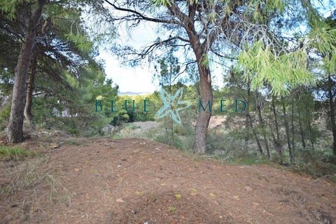 Helårsgrund i La Charca, Murcia, La Charca - € 180.000 | Ref: LACHARCA2/10254 - foto 5