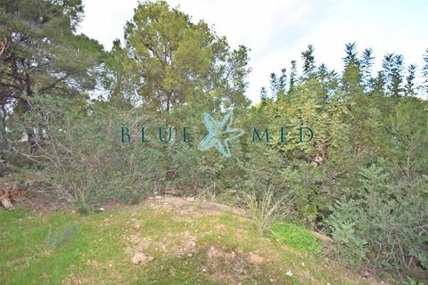 Helårsgrund i La Charca, Murcia, La Charca - € 180.000 | Ref: LACHARCA2/10254 - foto 6
