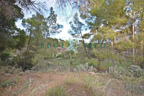 Helårsgrund i La Charca, Murcia, La Charca - € 180.000 | Ref: LACHARCA2/10254 - foto 7