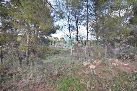 Helårsgrund i La Charca, Murcia, La Charca - € 180.000 | Ref: LACHARCA2/10254 - foto 8