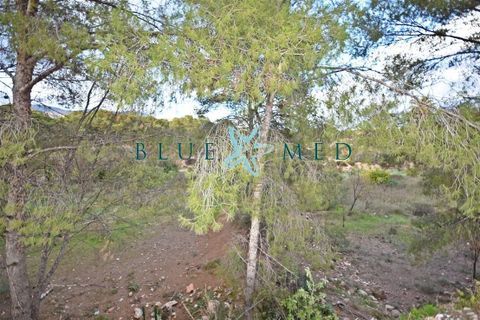 Helårsgrund i La Charca, Murcia, La Charca - € 180.000 | Ref: LACHARCA2/10254 - foto 9