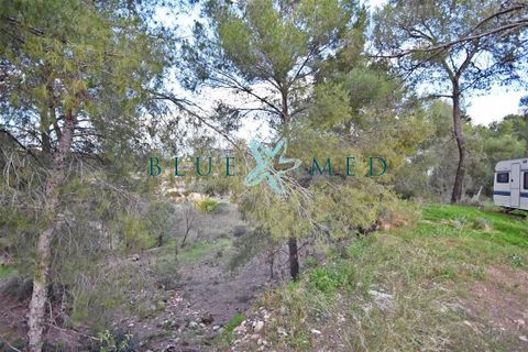 Helårsgrund i La Charca, Murcia, La Charca - € 180.000 | Ref: LACHARCA2/10254 - foto 10