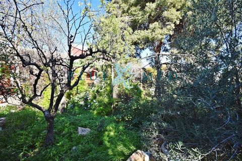 Landejendom i Lorca, Murcia, Lorca - € 366.900 | Ref: LORCAVILLA1/10254 - foto 26
