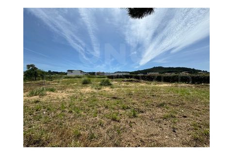 Terra em Darque, Viana do Castelo, Darque - € 300.000 | Ref: UNU-F3-04-317 - foto 5