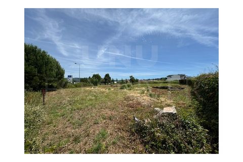 Terra em Darque, Viana do Castelo, Darque - € 300.000 | Ref: UNU-F3-04-317 - foto 6