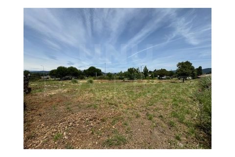 Terra em Darque, Viana do Castelo, Darque - € 300.000 | Ref: UNU-F3-04-317 - foto 7