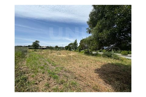 Terra em Darque, Viana do Castelo, Darque - € 300.000 | Ref: UNU-F3-04-317 - foto 9