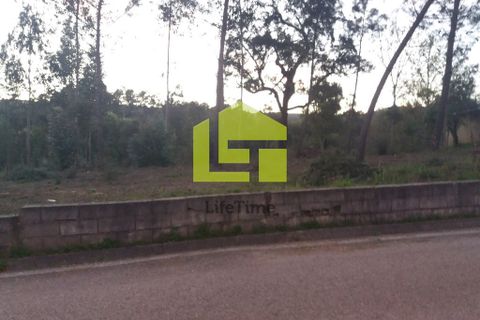 Helårsgrund i Miranda do Corvo, Coimbra, Miranda do Corvo - € 52.000 | Ref: LT0203 - foto 4