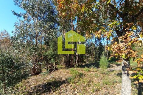 Helårsgrund i Miranda do Corvo, Coimbra, Miranda do Corvo - € 52.000 | Ref: LT0203 - foto 5