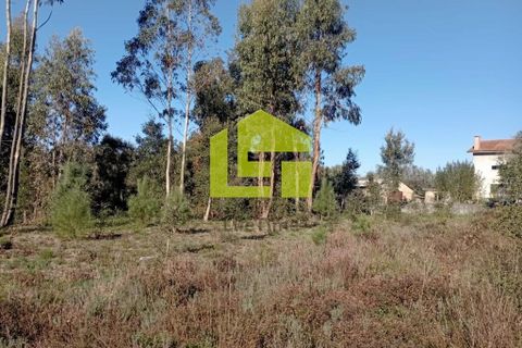 Helårsgrund i Miranda do Corvo, Coimbra, Miranda do Corvo - € 52.000 | Ref: LT0203 - foto 6