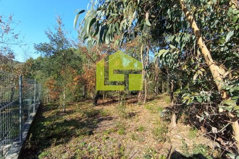 Helårsgrund i Miranda do Corvo, Coimbra, Miranda do Corvo - € 52.000 | Ref: LT0203 - foto 7