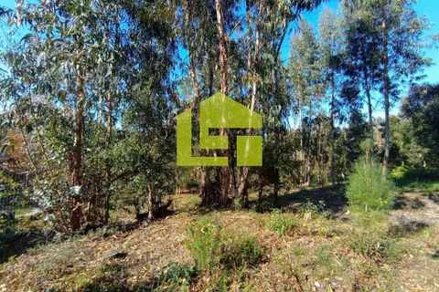 Helårsgrund i Miranda do Corvo, Coimbra, Miranda do Corvo - € 52.000 | Ref: LT0203 - foto 8