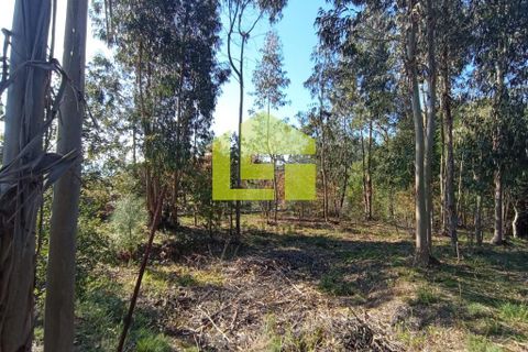 Helårsgrund i Miranda do Corvo, Coimbra, Miranda do Corvo - € 52.000 | Ref: LT0203 - foto 9