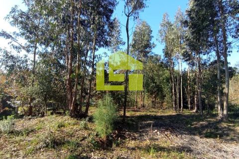 Helårsgrund i Miranda do Corvo, Coimbra, Miranda do Corvo - € 52.000 | Ref: LT0203 - foto 10