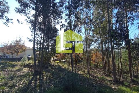 Helårsgrund i Miranda do Corvo, Coimbra, Miranda do Corvo - € 52.000 | Ref: LT0203 - foto 11