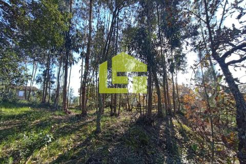 Helårsgrund i Miranda do Corvo, Coimbra, Miranda do Corvo - € 52.000 | Ref: LT0203 - foto 12