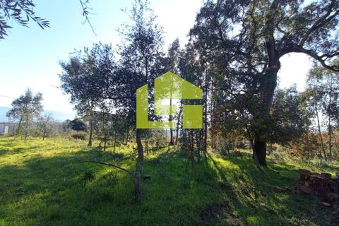 Helårsgrund i Miranda do Corvo, Coimbra, Miranda do Corvo - € 52.000 | Ref: LT0203 - foto 13