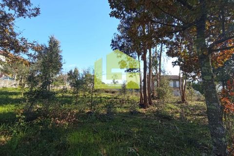 Helårsgrund i Miranda do Corvo, Coimbra, Miranda do Corvo - € 52.000 | Ref: LT0203 - foto 14