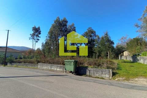 Helårsgrund i Miranda do Corvo, Coimbra, Miranda do Corvo - € 52.000 | Ref: LT0203 - foto 15