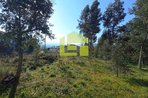 Helårsgrund i Miranda do Corvo, Coimbra, Miranda do Corvo - € 52.000 | Ref: LT0203 - foto 16