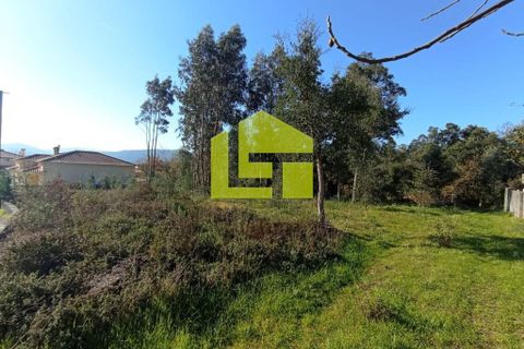 Helårsgrund i Miranda do Corvo, Coimbra, Miranda do Corvo - € 52.000 | Ref: LT0203 - foto 17