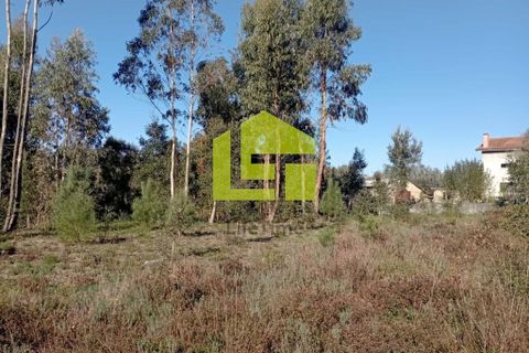 Helårsgrund i Miranda do Corvo, Coimbra, Miranda do Corvo - € 52.000 | Ref: LT0203 - foto 18