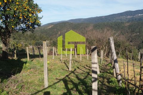 Byhus i Miranda do Corvo, Coimbra, Miranda do Corvo - € 15.900 | Ref: LT0182 - foto 2
