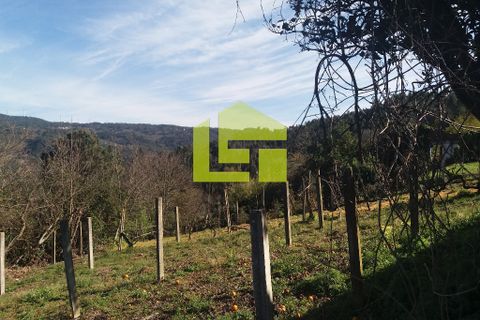Byhus i Miranda do Corvo, Coimbra, Miranda do Corvo - € 15.900 | Ref: LT0182 - foto 8