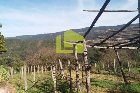 Byhus i Miranda do Corvo, Coimbra, Miranda do Corvo - € 15.900 | Ref: LT0182 - foto 9