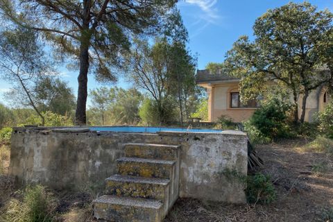 Haus in Sencelles, Mallorca - Foto 5