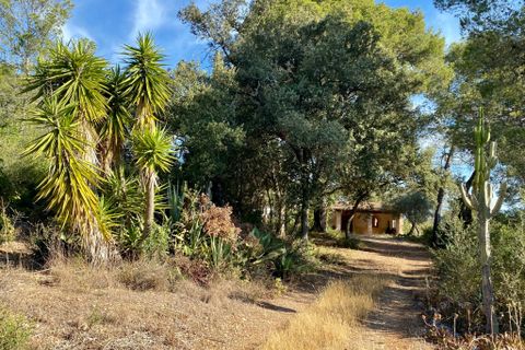 Villa a Sencelles, Mallorca, Sencelles - € 636.000 | Ref: 1798 - foto 14