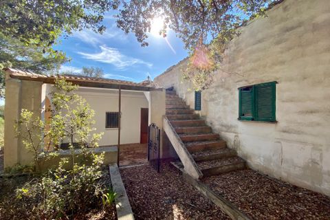 Villa a Sencelles, Mallorca, Sencelles - € 636.000 | Ref: 1798 - foto 19