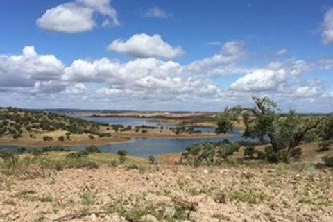 Farm i Moura, Beja, Moura - € 800.000 | Ref: OLIR0018 - foto 4