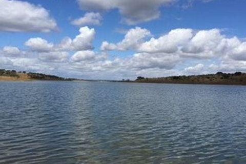 Farm i Moura, Beja, Moura - € 800.000 | Ref: OLIR0018 - foto 12