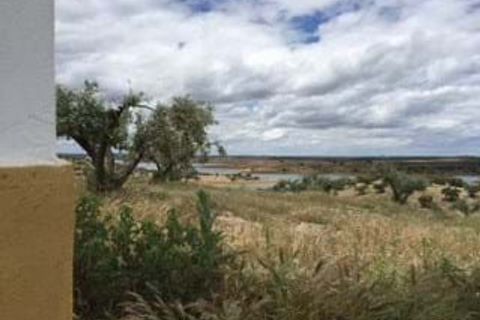 Farm i Moura, Beja, Moura - € 800.000 | Ref: OLIR0018 - foto 14