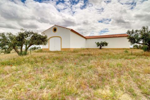 Farm i Moura, Beja, Moura - € 800.000 | Ref: OLIR0018 - foto 16