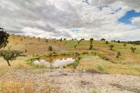 Farm i Moura, Beja, Moura - € 800.000 | Ref: OLIR0018 - foto 17