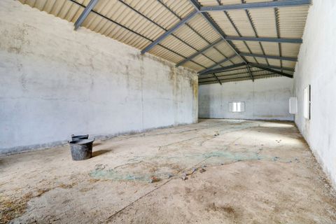 Farm i Moura, Beja, Moura - € 800.000 | Ref: OLIR0018 - foto 18